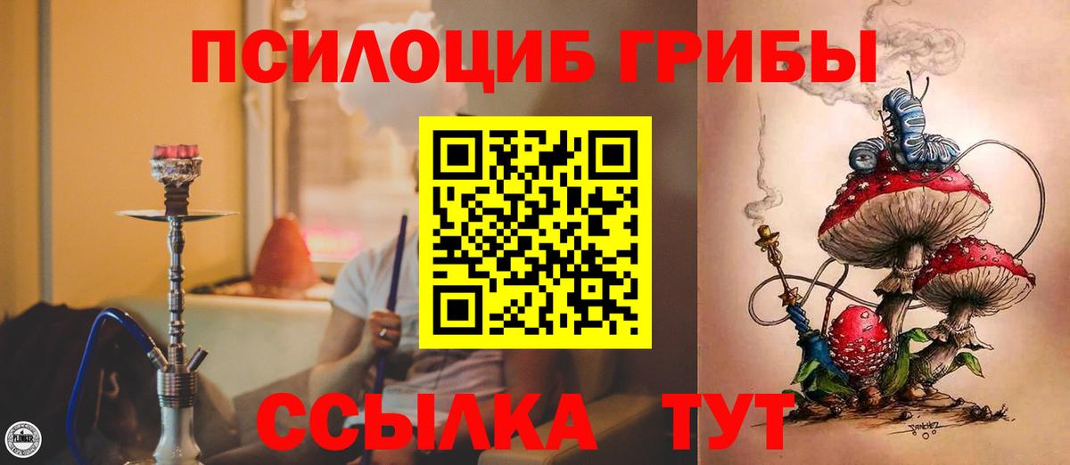 Псилоцибиновые грибы MAGIC MUSHROOMS Лениногорск