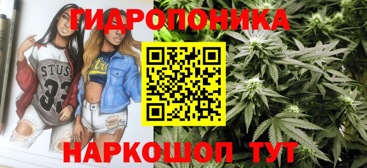 Канабис тримм  Вход с VPN  Лениногорск  Каннабис сатива  Шишки марихуана VHQ  Канабис Amnesia 